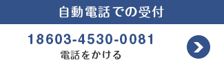 自動電話での受付 18603-4530-0081電話をかける